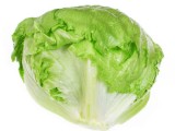 کاهو